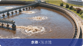 生命之河水体阶段