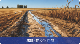 生命之河末端阶段