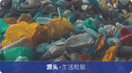 生命之河年龄遗传与环境源头