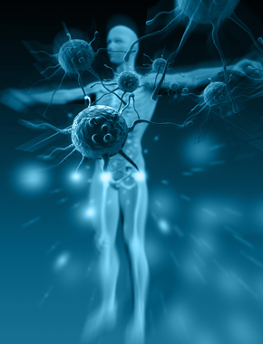 免疫功能综合评估