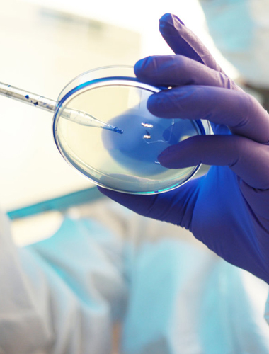 Cell and Exosome Laboratory