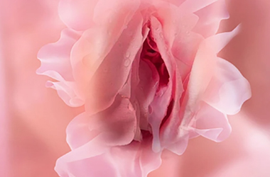 科普“五度五力”，评估你的私密是否年轻？