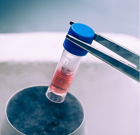 进行血液医学抗衰实验时要注意什么