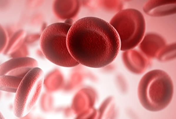 血液医学抗衰实验